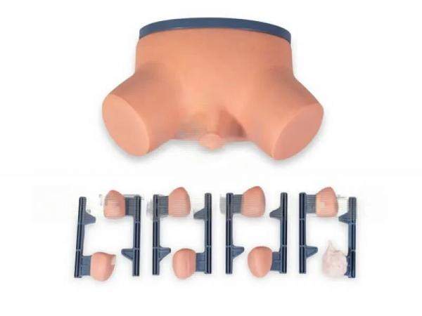 Тренажер для отработки навыков обследования и массажа предстательной железы (9 сменных модулей)