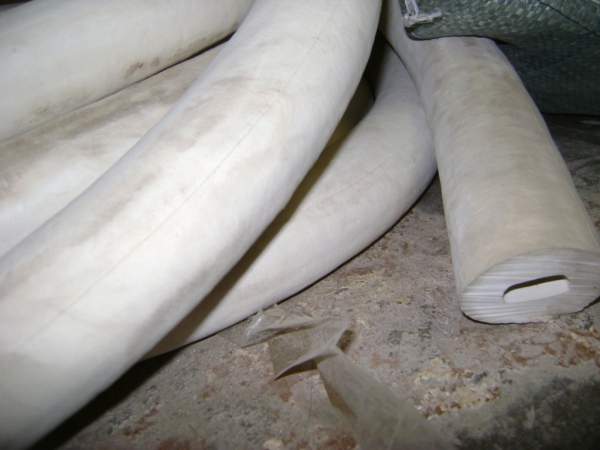 Трубка вакуумная размер 10х10 мм ТУ 38105881-85