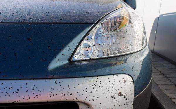 Удаление следов битумных пятен с кузова автомобиля