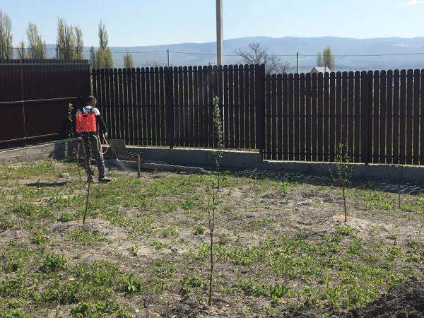 Удаление сорняков