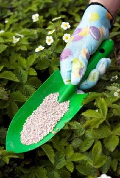 Удобрение Аммофос NP 16:20