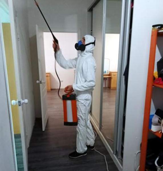 Уничтожение клопов в квартире в Краснодаре
