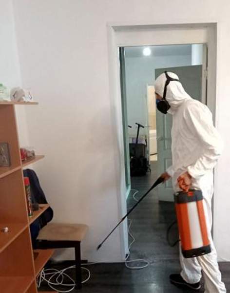 Уничтожение тараканов в квартире в Краснодаре