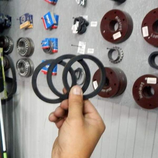 Уплотнение для соединений рукавов растворонасоса D50