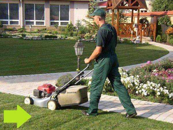 Услуги садовника