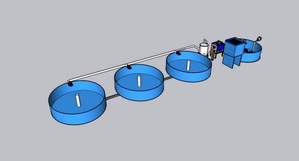 Узв на 1 тонну осетра в год