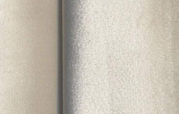 Велюр мебельный Бархат велюр 01