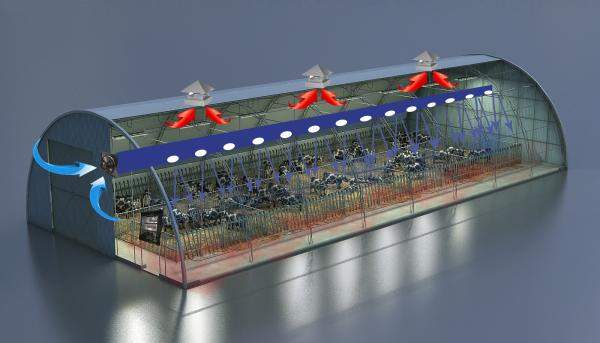 Вентиляция для КРС