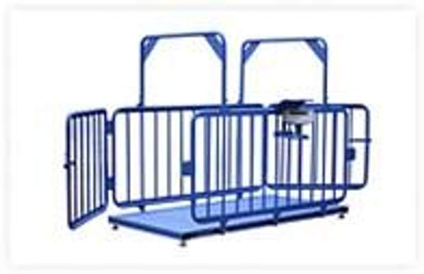 Весы для животных ВСП4-ЖсО с ограждением