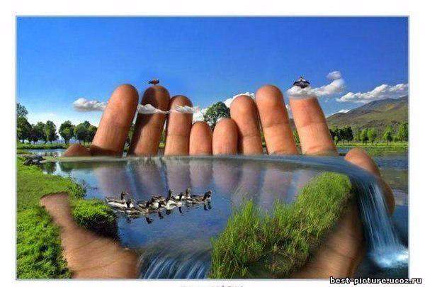 Восстановление водоёмов и пляжей