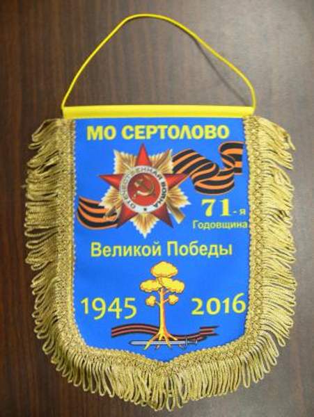 Вымпел с логотипом спб в спб петербург санкт-петербург