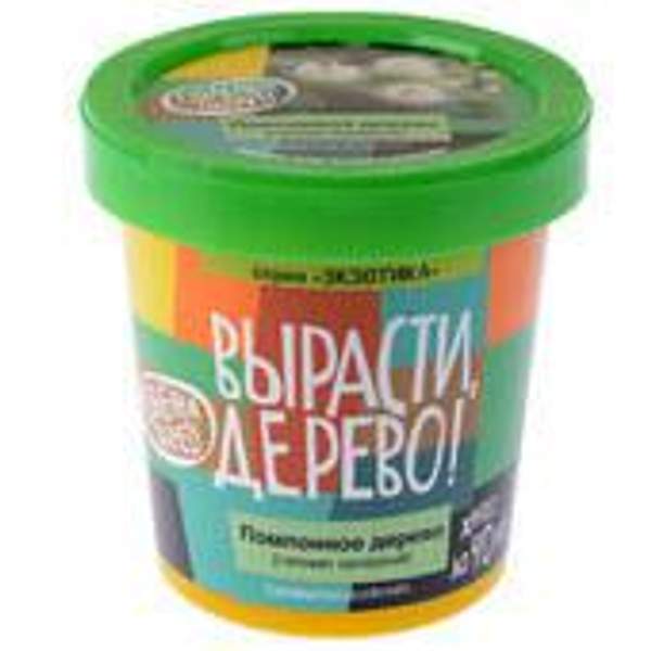 Вырасти дерево Помпонное дерево набор для выращивания