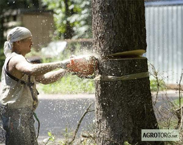 Вырубка деревьев в Самаре