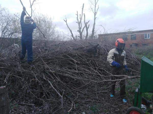 Вырубка и спил кустарников