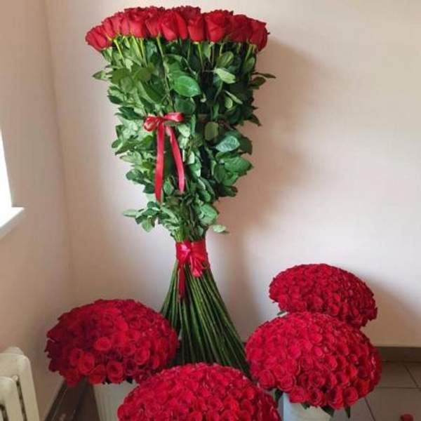 Высокие розы 140см
