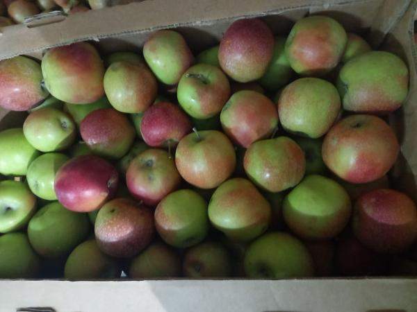 Яблоки Джонаголд первый+второй сорт, калибр 65+ оптом напрямую из сада