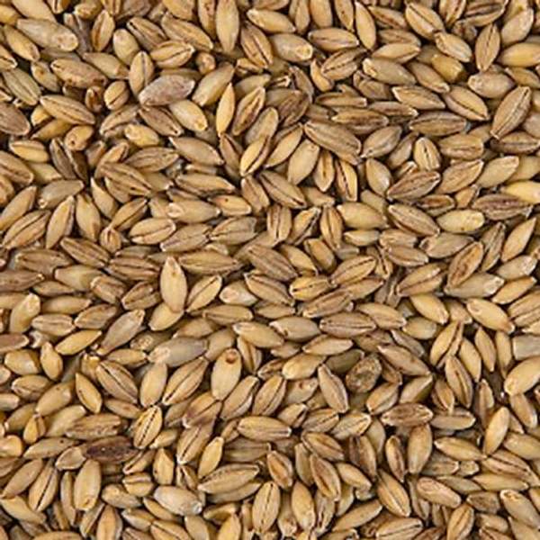 Ячмень, 40 кг