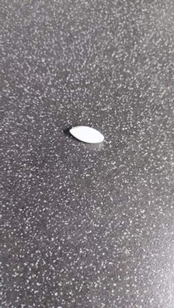 Якорь магнитный грушевидный А 20*8