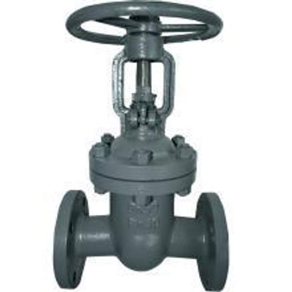 Задвижка 30с15 нж 50х40