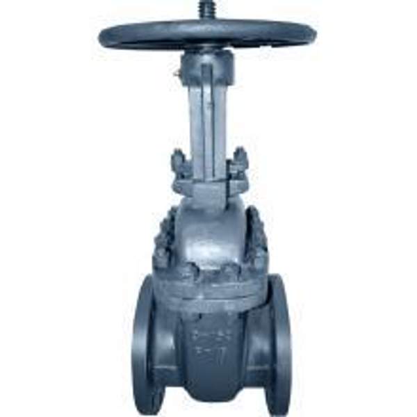 Задвижка 30с41 нж 150х16