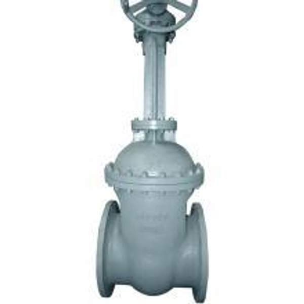 Задвижка 30с41 нж 500х16