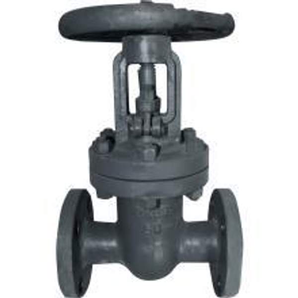 Задвижка 30с76 нж 50х63