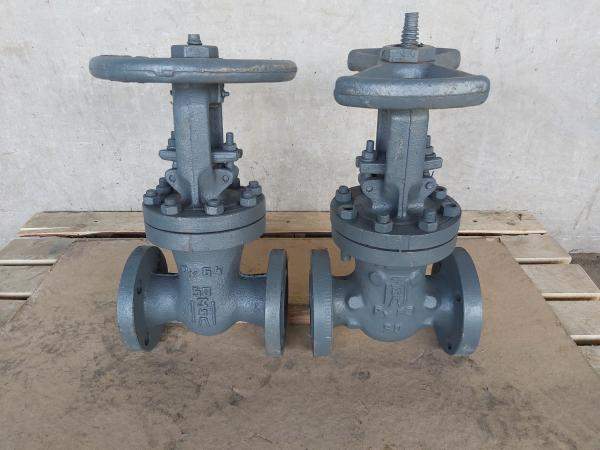 Задвижка 30с76нж Ду50 Ру63 «АрЗИЛ»,