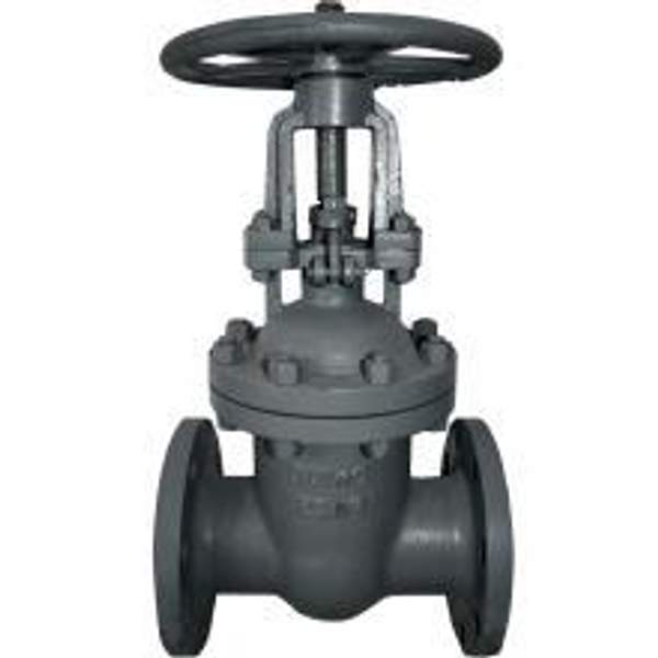 Задвижка 30с99 нж 100х25