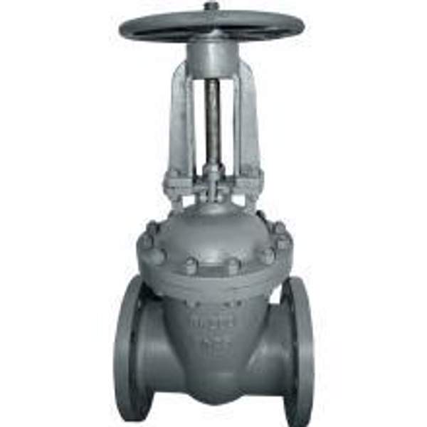 Задвижка 30с99 нж 200х25