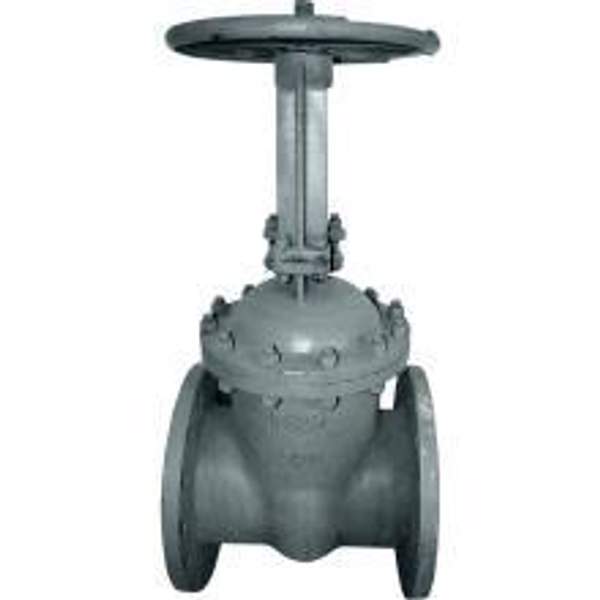 Задвижка 30с99 нж 300х25