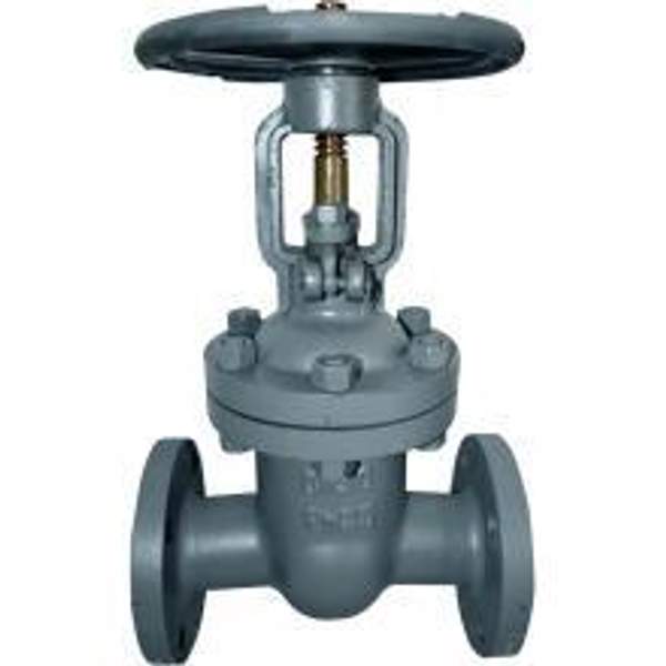 Задвижка 30с99 нж 50х25