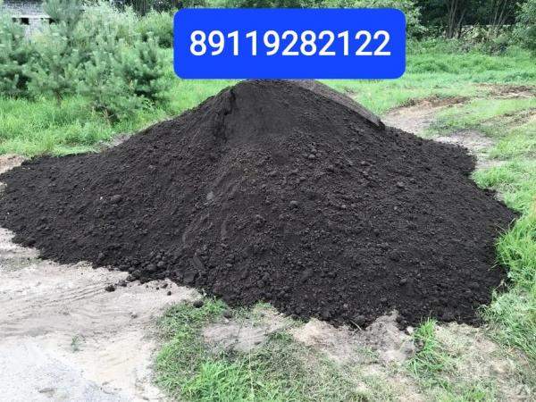 Земля сеянная плодородная Гатчина