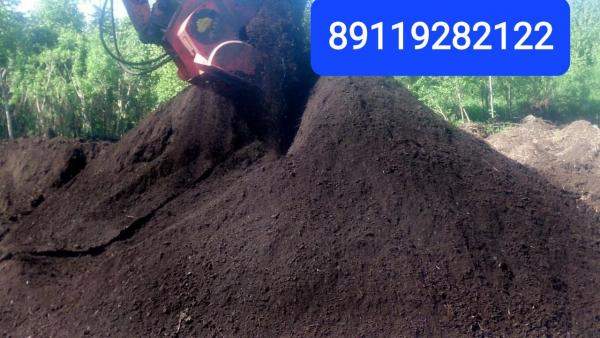 Земля сеянная Шушуры