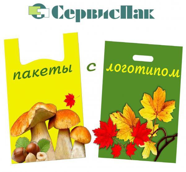 Оптовая продажа пакетов для магазинов с Вашим логотипом — фото 3