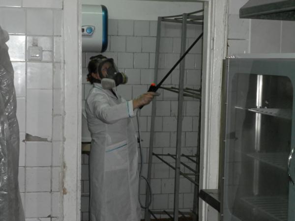 Фирма по дезинфекции обработке от клещей комаров короеда клопов и тараканов Городец,   Заволжье,   Балахна — фото 2