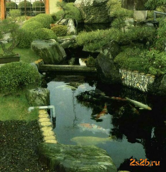 Рукотворный пруд. — фото 4