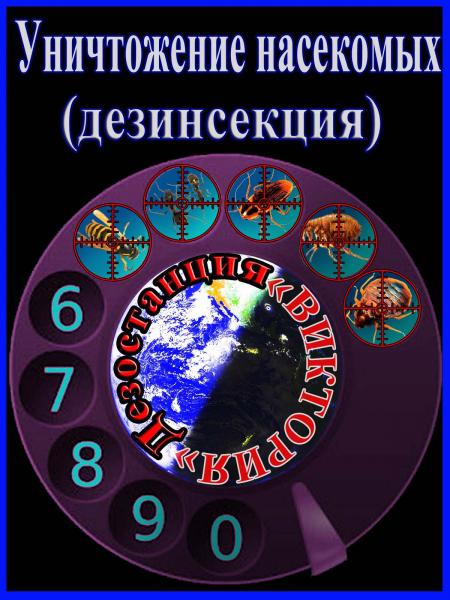 Дезостанция«ВИКТОРИЯ».               Оказываем услуги по дезинфекции,               уничтожению грызунов (дератизация) — фото 3
