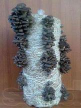 Организуем для вас грибную теплицу (вешенка) , рентабельность более 70 %, большой опыт — фото 5