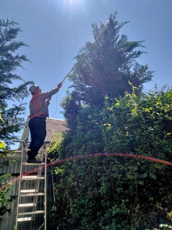 Садовник, обрезка сада, садовых деревьев, уход за садом Одеса