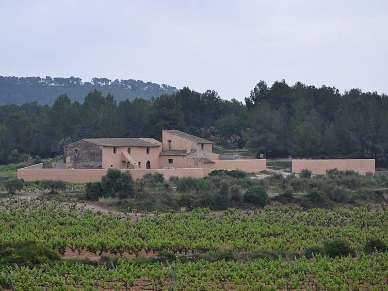 ПОМЕСТЬЕ С ВИНОГРАДНИКАМИ В ИСПАНИИ — фото 26