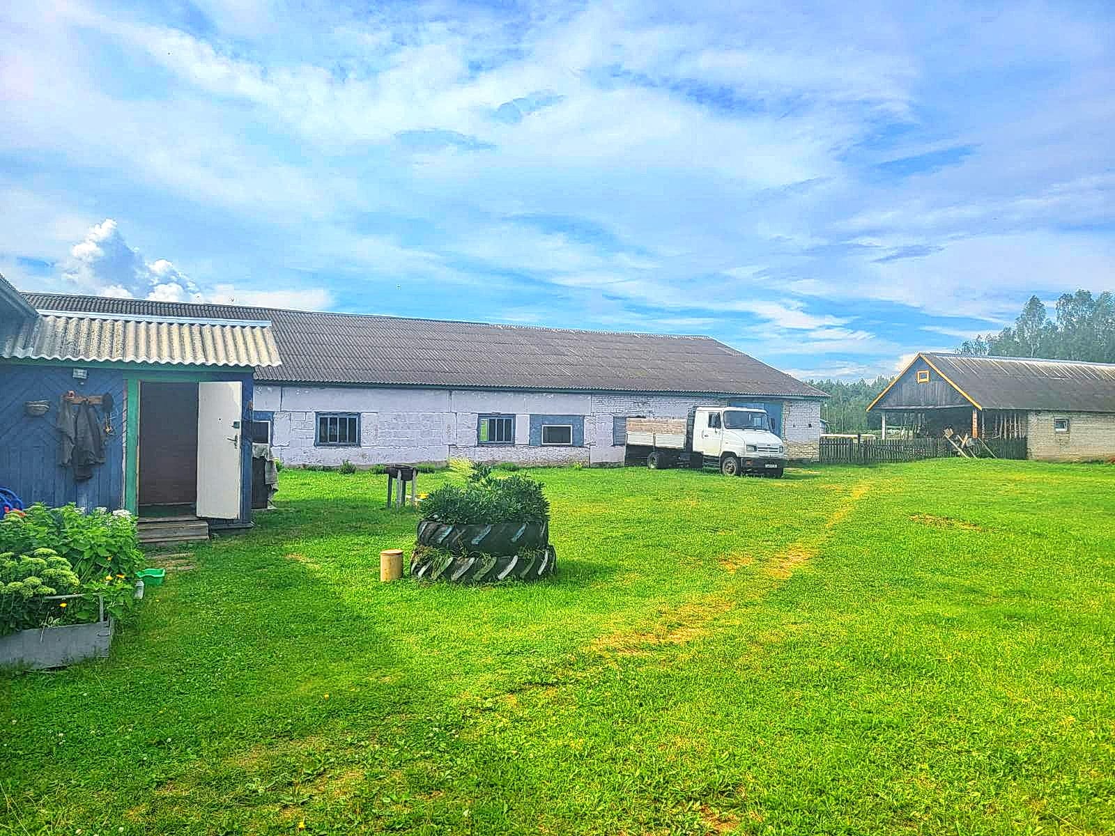 Продаётся фермерское хозяйство в Полоцком районе. — фото 5