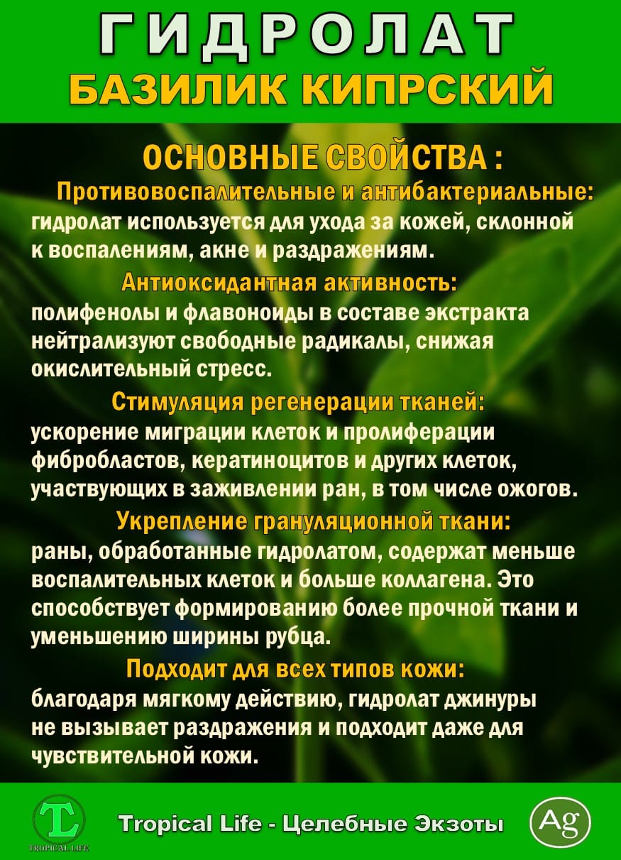 Гидролат Кипрского Базилика. ProGynuru. С наносеребром. — фото 5