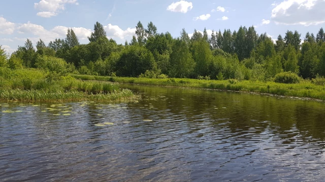 Земельный участок 57,2535 Га в дер. Панютино Калязинского района Тверской области — фото 7