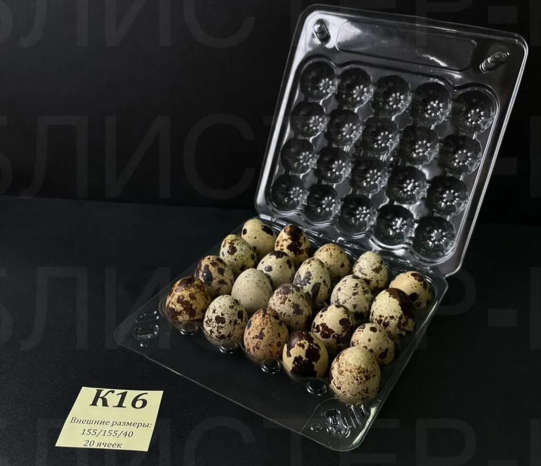Упаковка для перепелиных яиц на 20 штук — фото 2