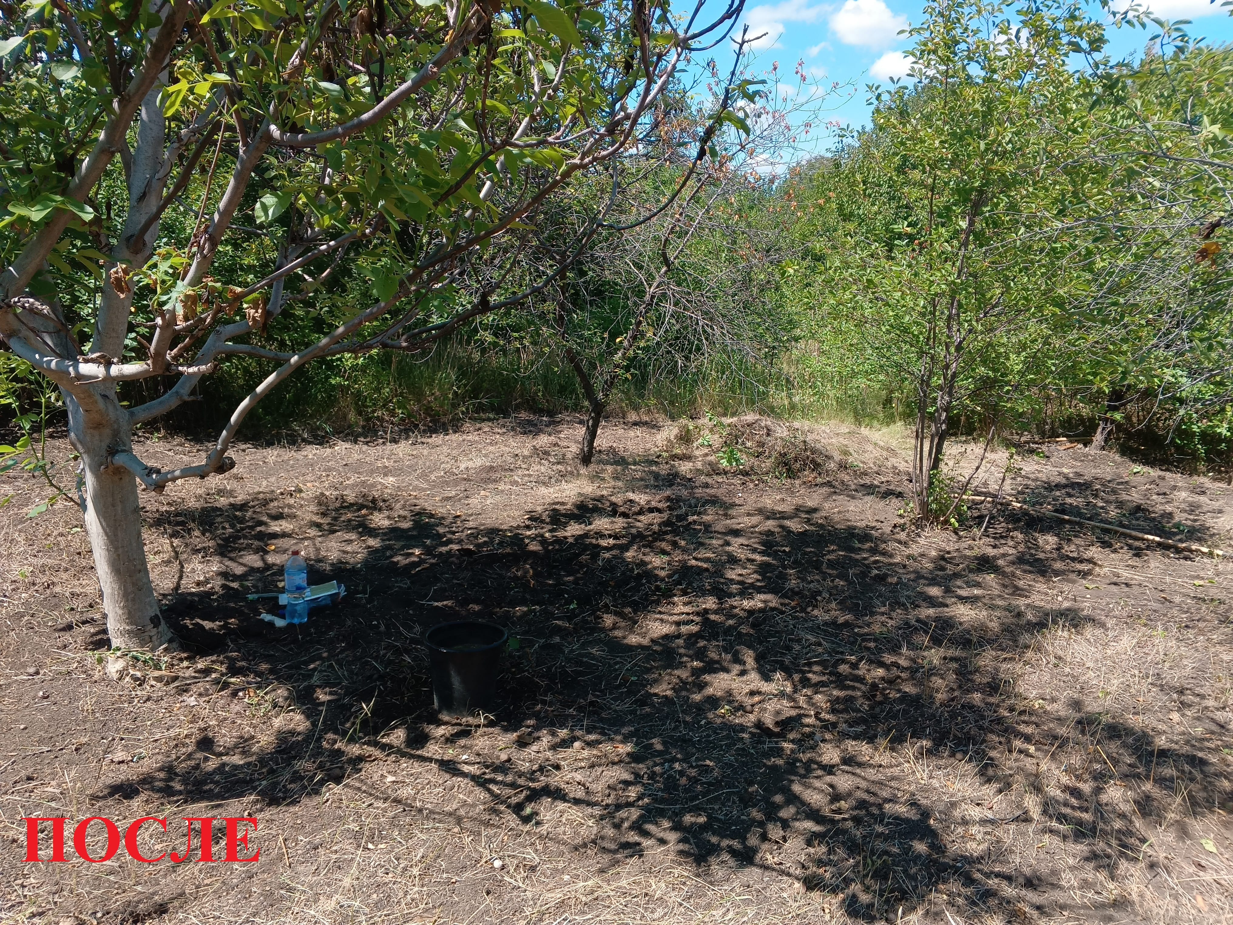 Уборка приусадебного участка, территории. — фото 2