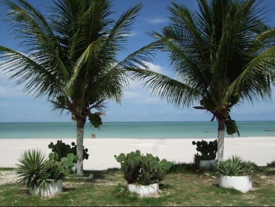 УЧАСТОК ДЛЯ ЗАСТРОЙКИ В БРАЗИЛИИ — фото 7