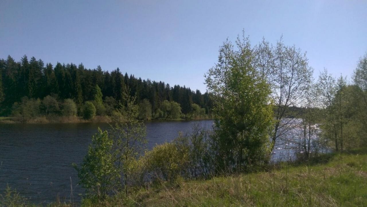 Земельный участок 57,2535 Га в дер. Панютино Калязинского района Тверской области — фото 9