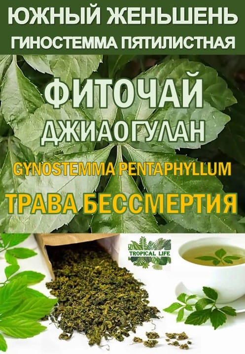 Фиточай Джиаогулан. Гиностемма пятилистная. Южный женьшень.