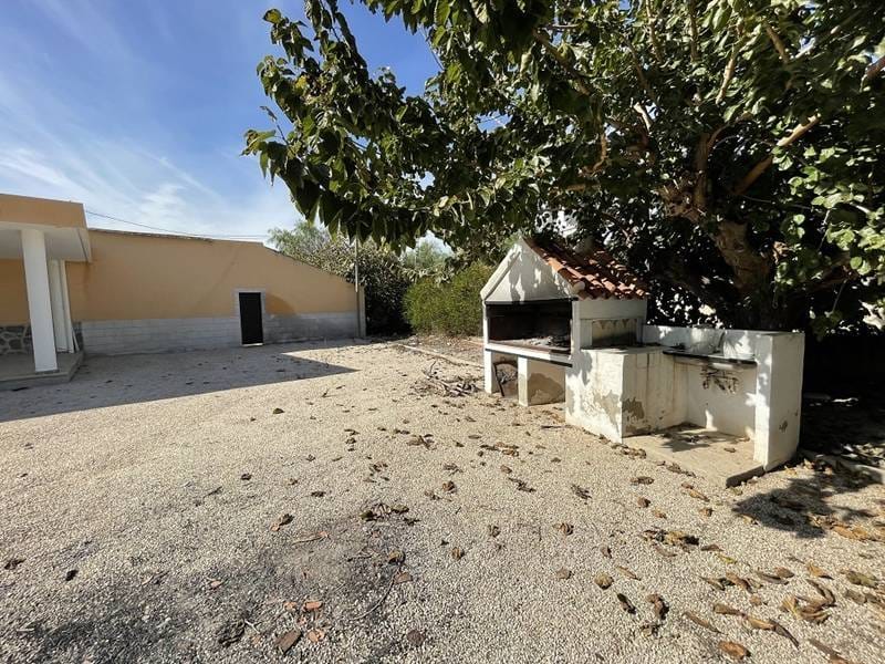 ПЛАНТАЦИЯ ЦИТРУСОВЫХ В ИСПАНИИ — фото 38