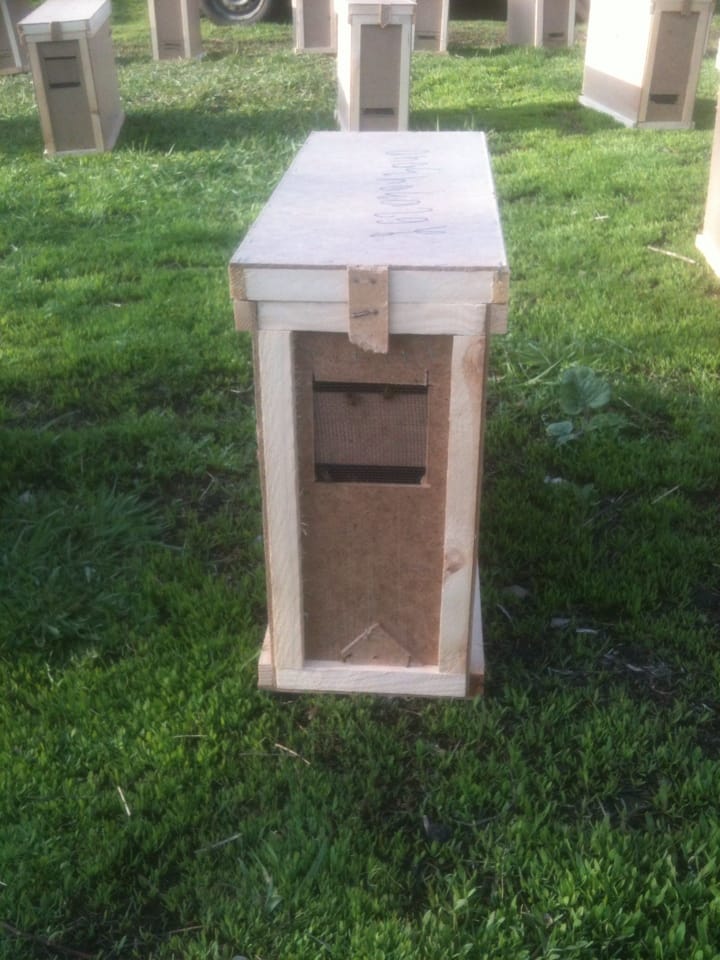 Пчёлы пчеломатки пчелопакеты